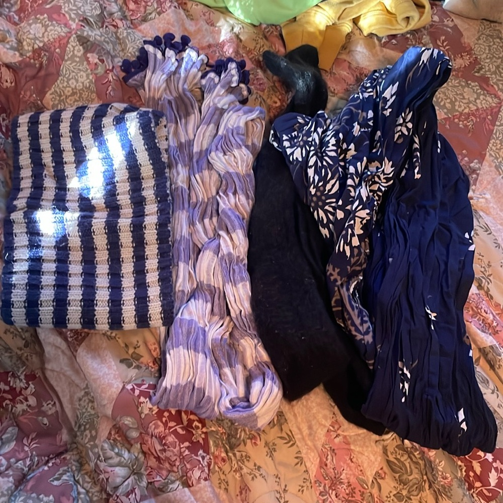 Assortment of Scarves and Neckwarmer